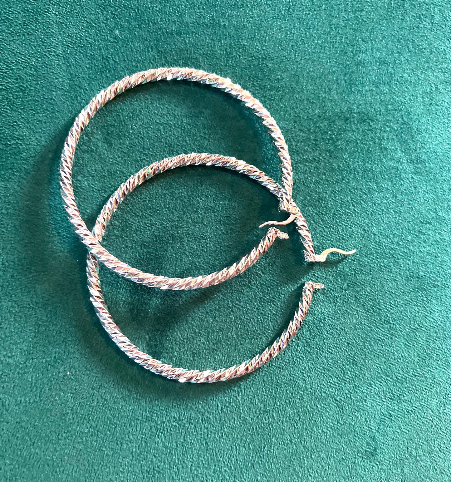 Glory Hoop Earring