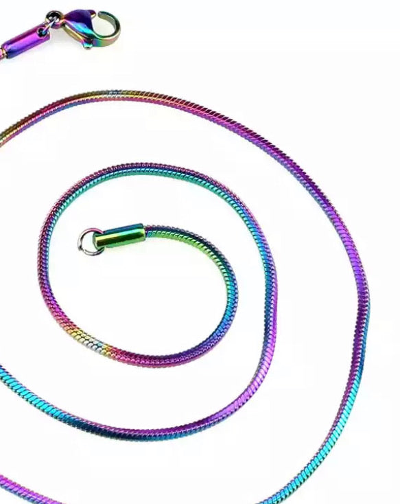 Stainless Steel Rainbow Snake Necklace