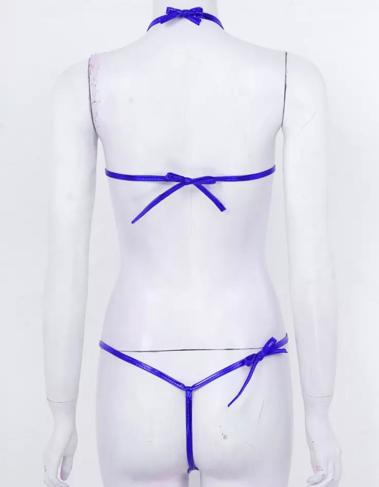 Matalic Crisscross Swimsuit/lingerie