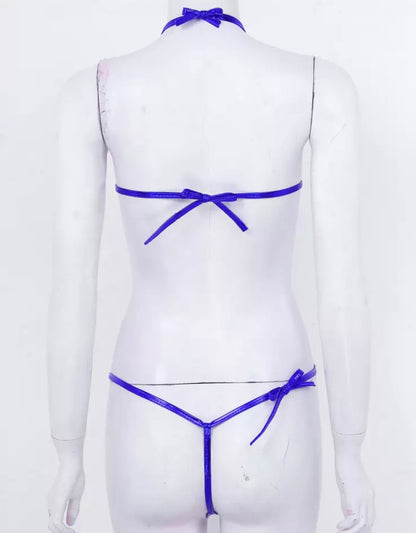 Matalic Crisscross Swimsuit/lingerie