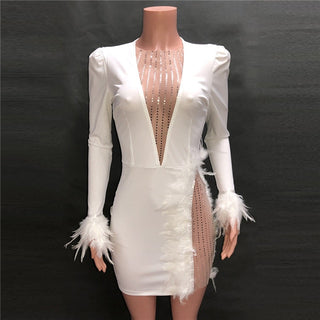Sexy Diamond Feather V- Neck Long Sleeve Bodycon Eleagnt Dress